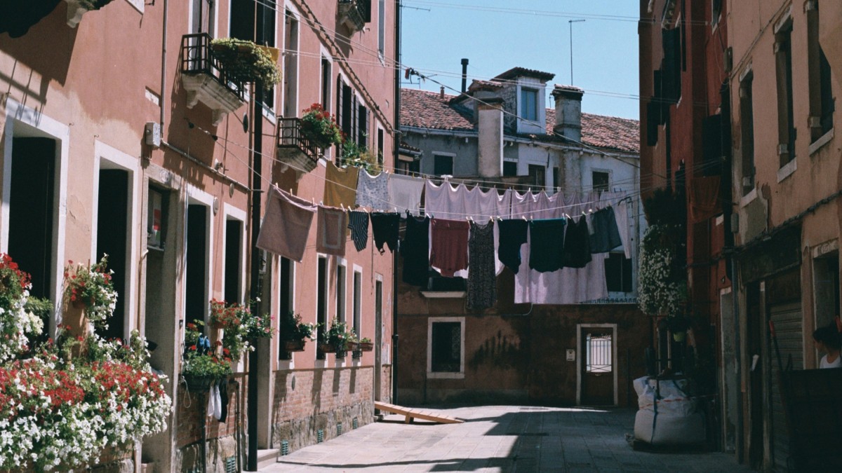 perchè i pali a venezia non marciscono