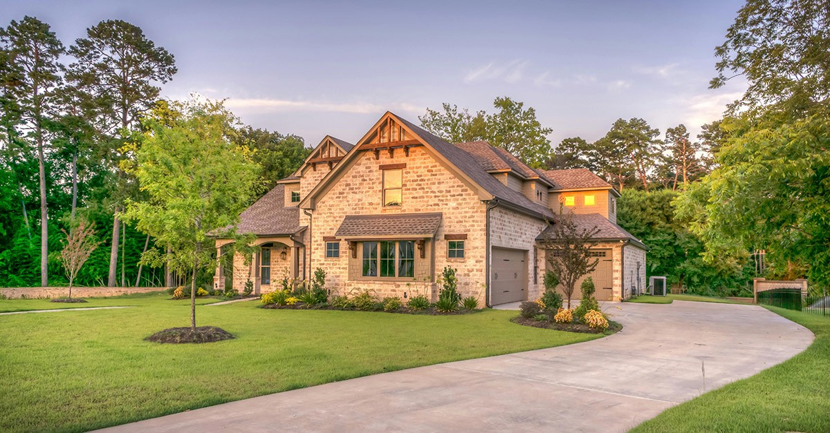 Distanza degli alberi dal confine