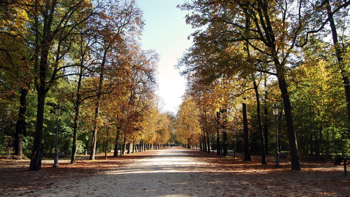 dove vivere a parma con bambini