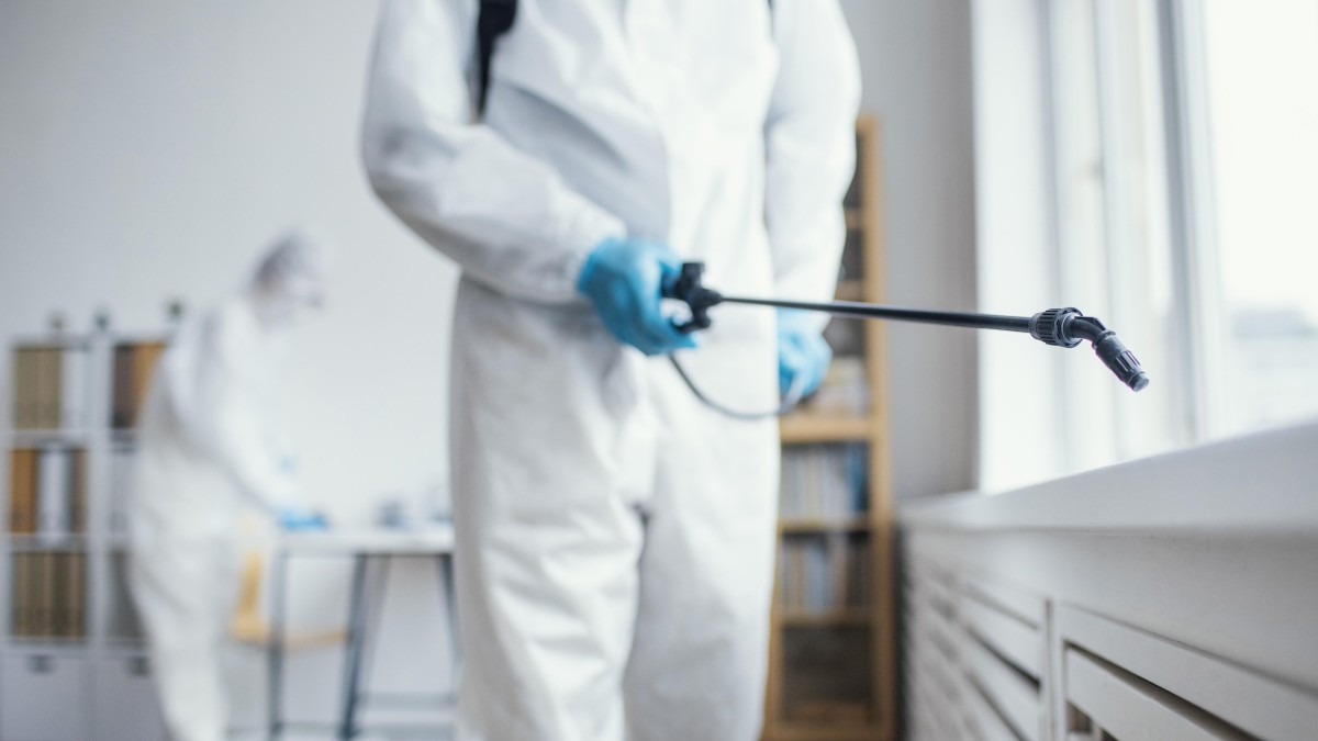 insetti in casa al rientro dalle vacanze