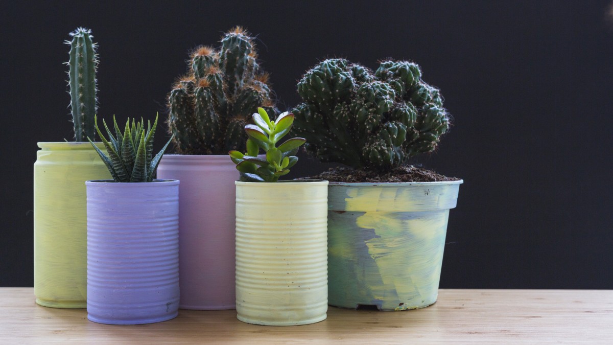 come realizzare vasi fai da te piante