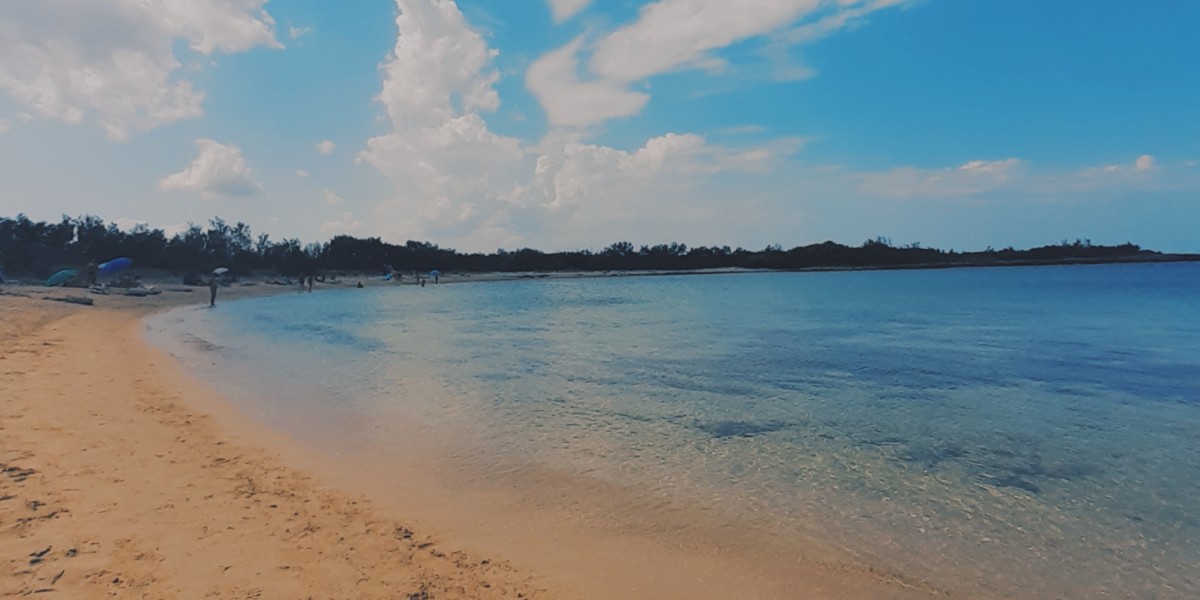 spiaggia riserva torre guaceto brindisi