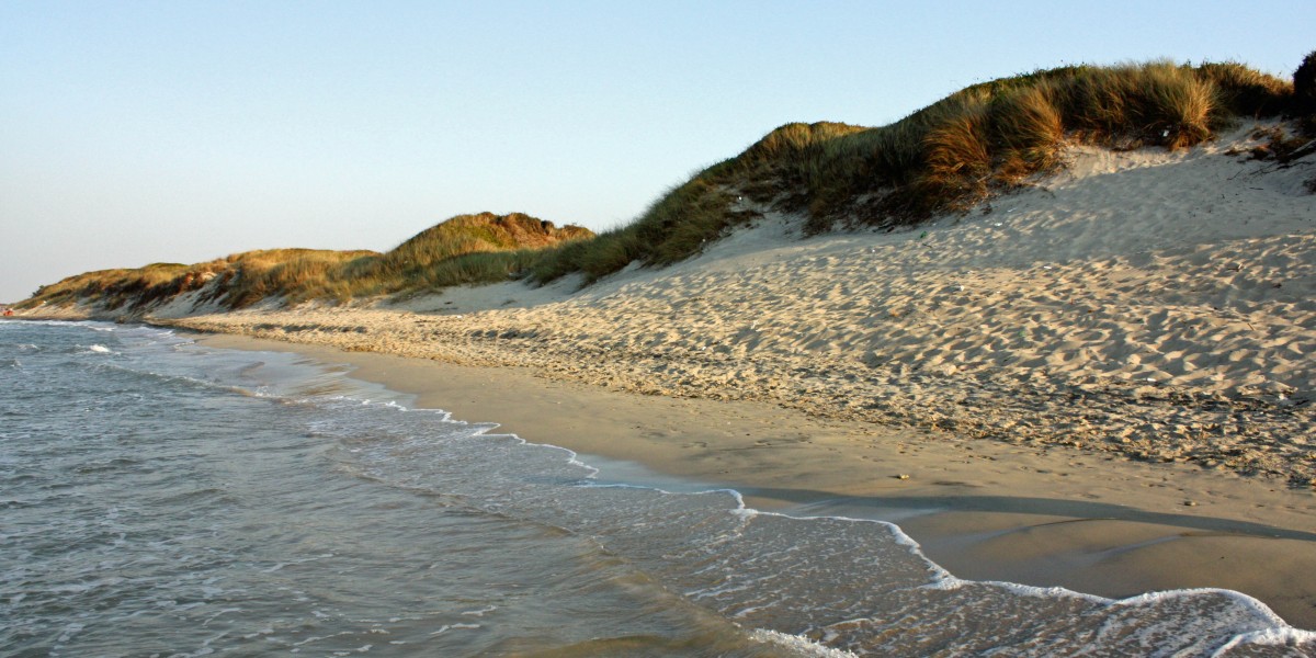 spiaggia dune torre canne