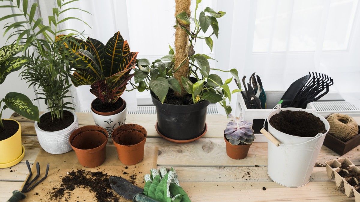 come realizzare vasi fai da te piante