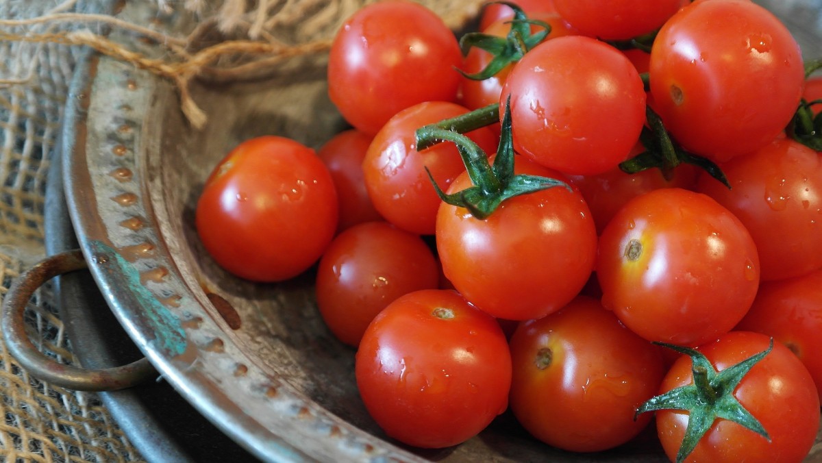 varietà pomodori