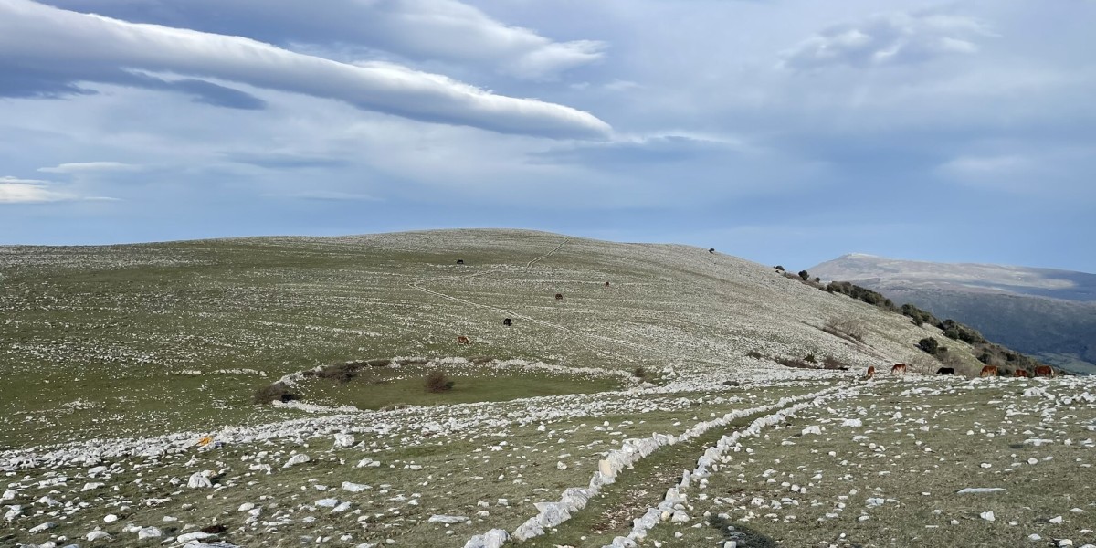 Monte Calvo