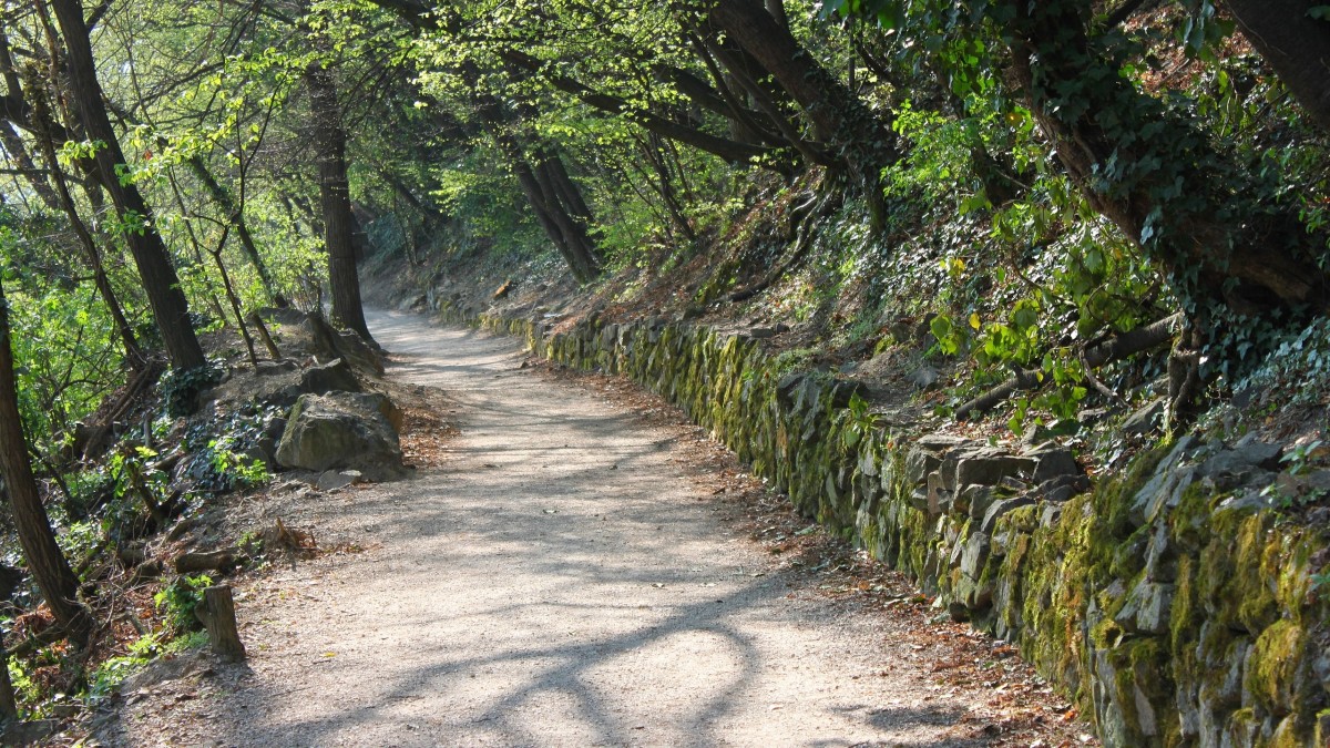 sentieri d'acqua meranesi