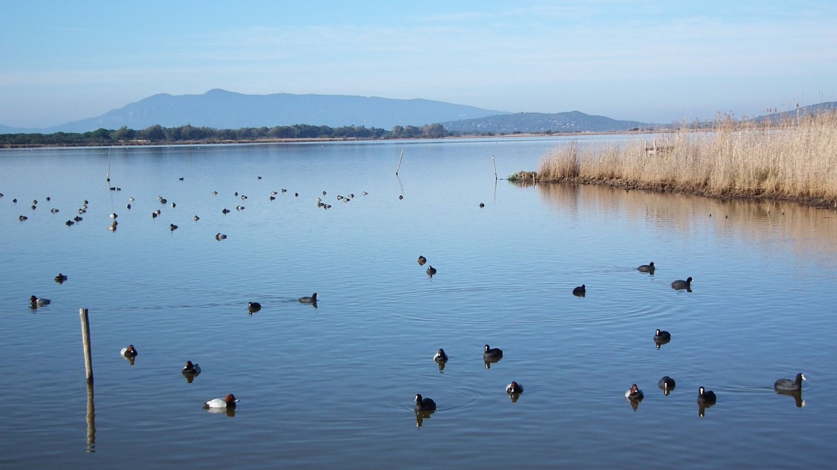 giardino dei tarocchi