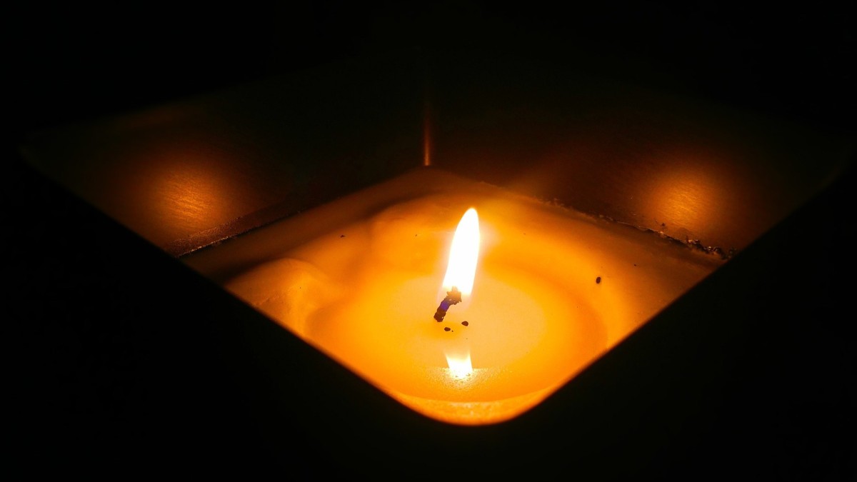 cosa mettere in camera da letto contro le zanzare