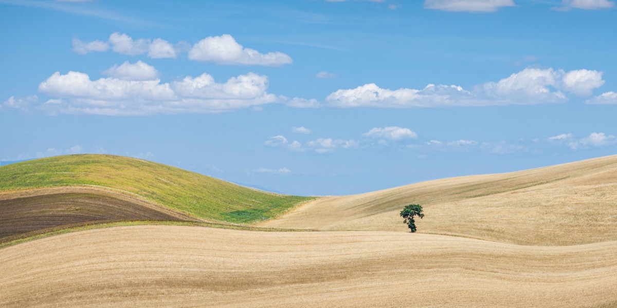 colline pugliesi