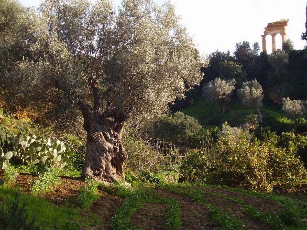 Giardino della Kolymbethra, Agrigento