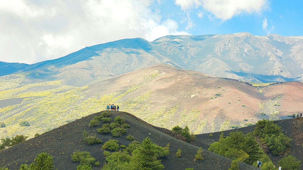 sentiero del germoplasma