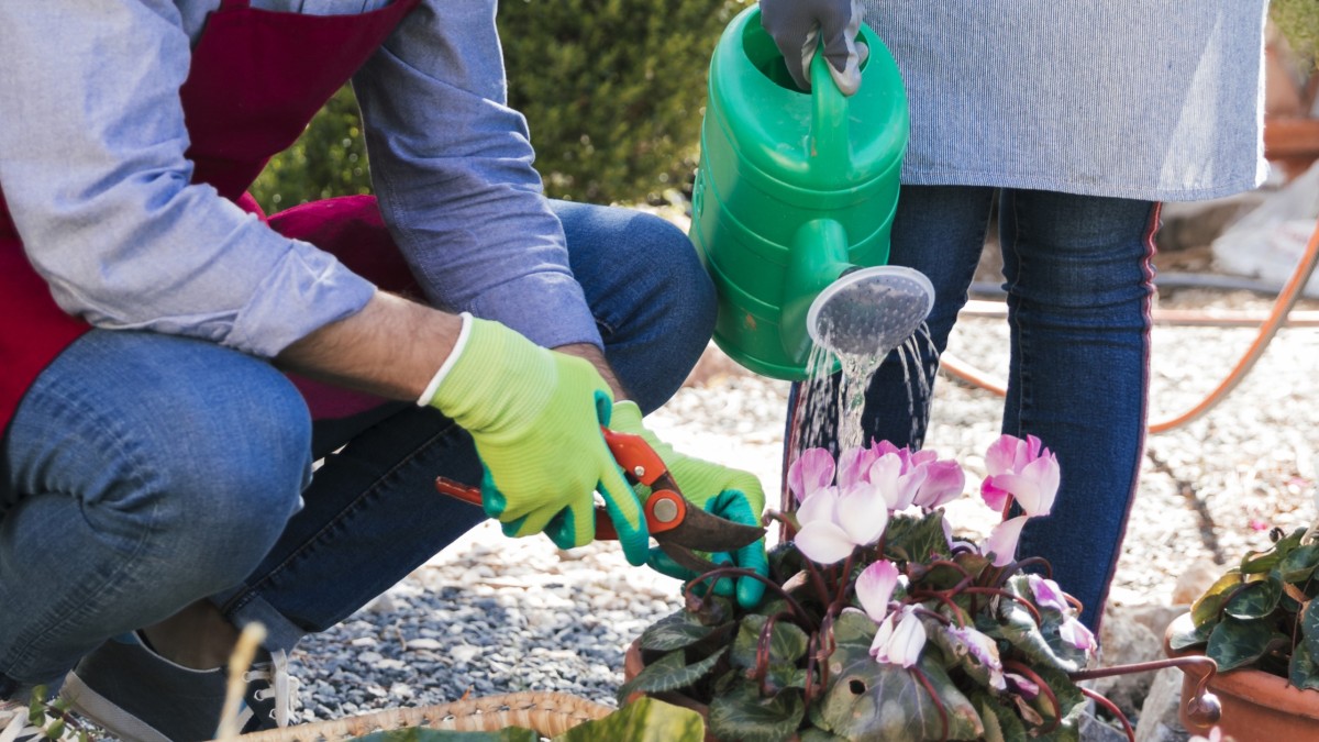 eventi giardinaggio settembre