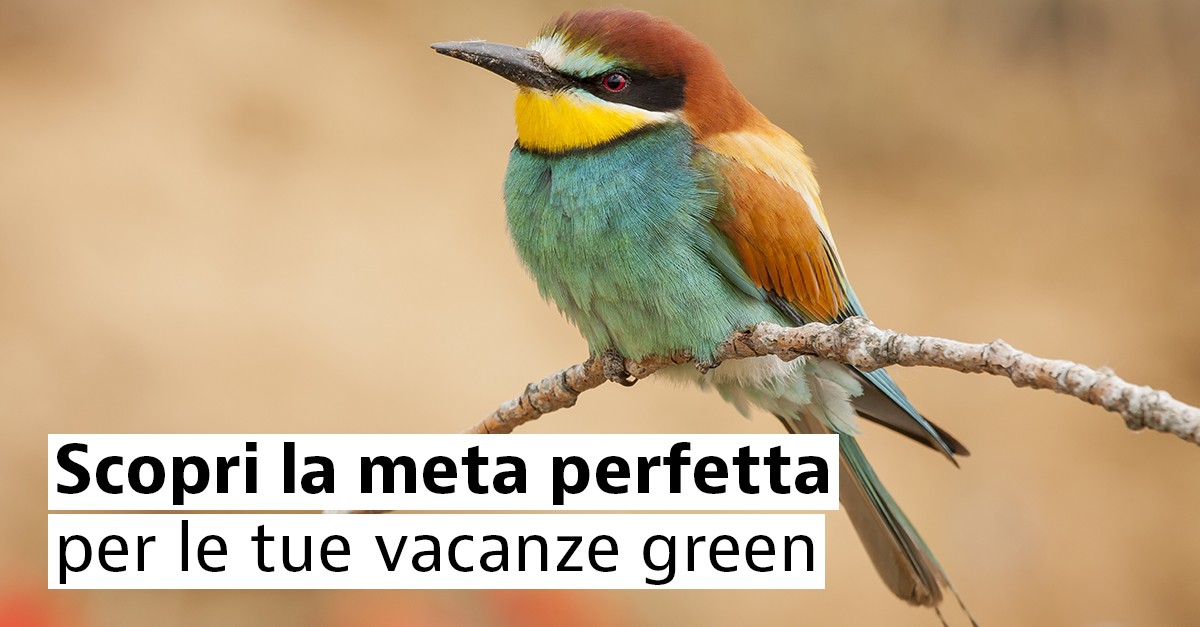 Riserve della Biosfera da scoprire in Italia Riserve della Biosfera da scoprire in Italia