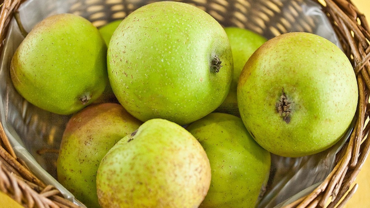 mele molto diffuse in italia