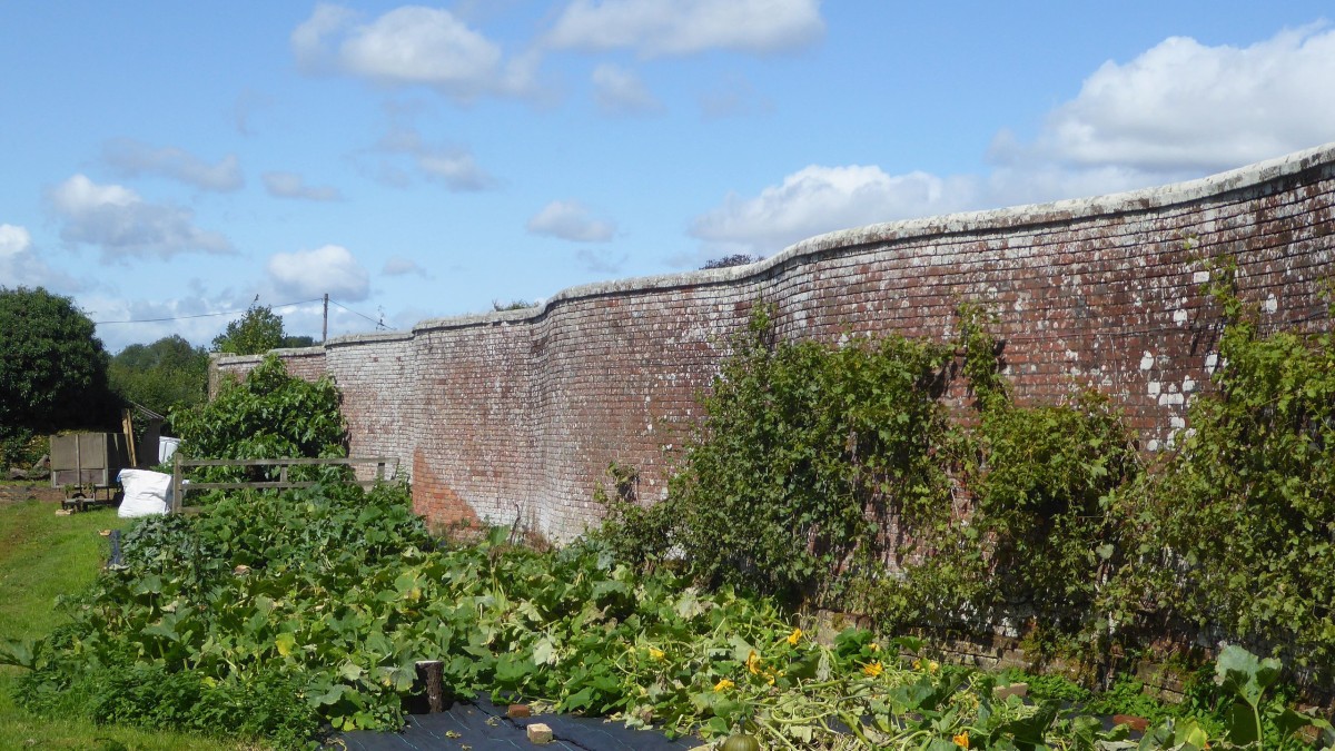 muri crinkle crankle