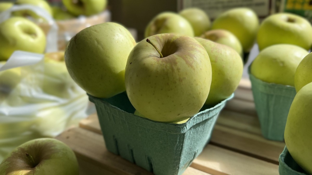 mele molto diffuse in italia