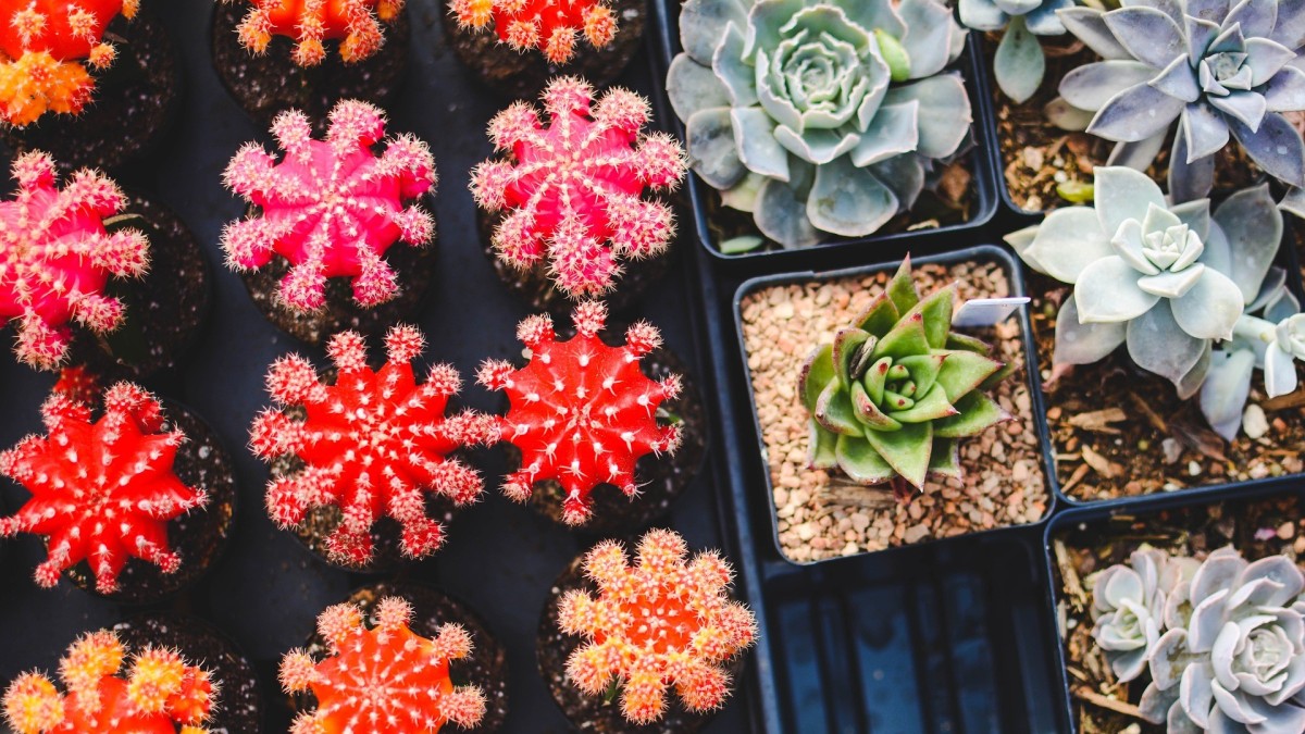 cosa fare a milano a ottobre 2024