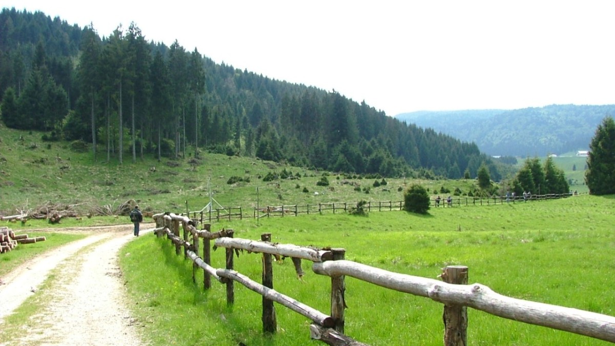 foresta del cansiglio