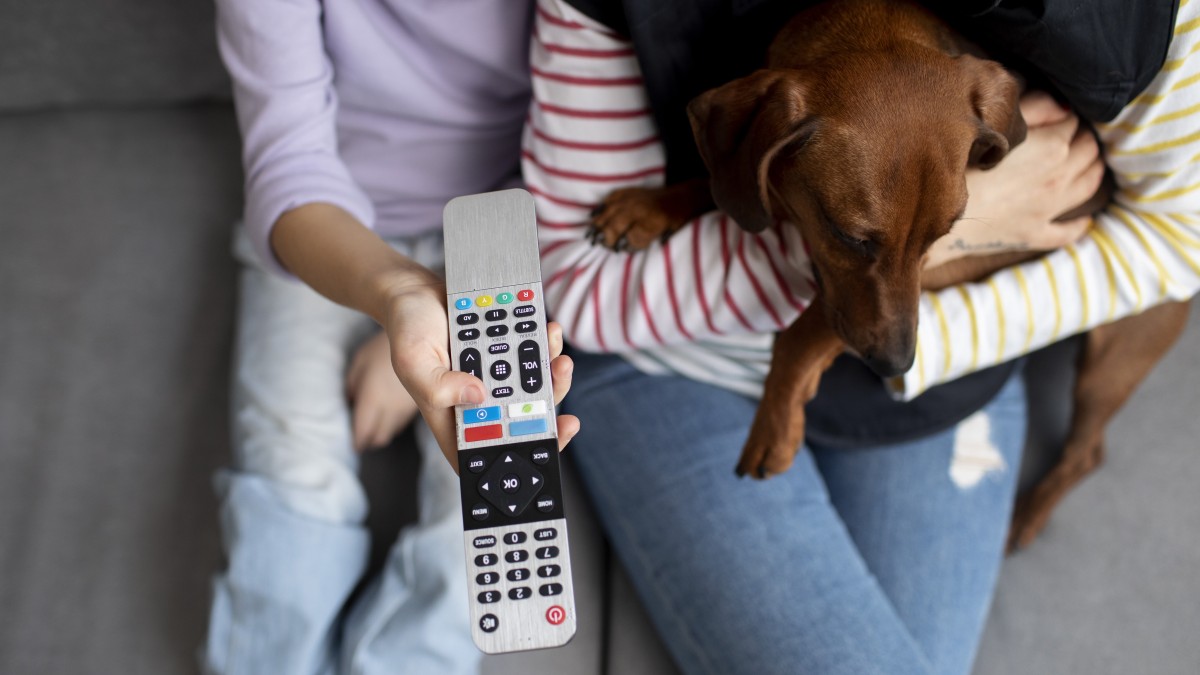 lasciare la tv accesa ai cani