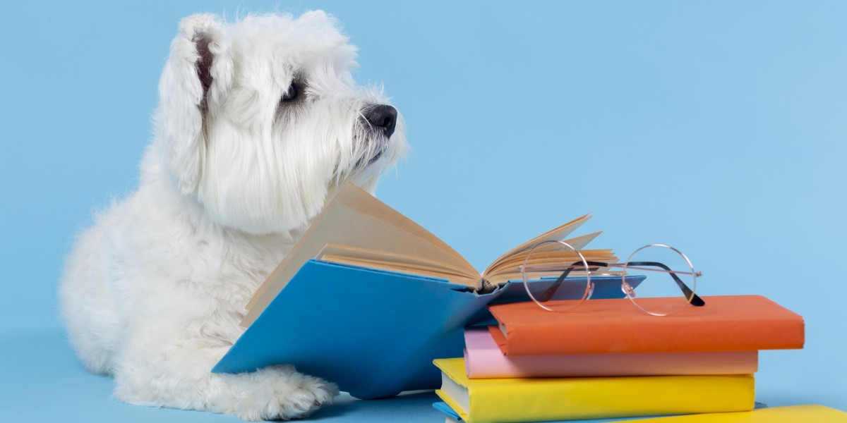 cane e libri
