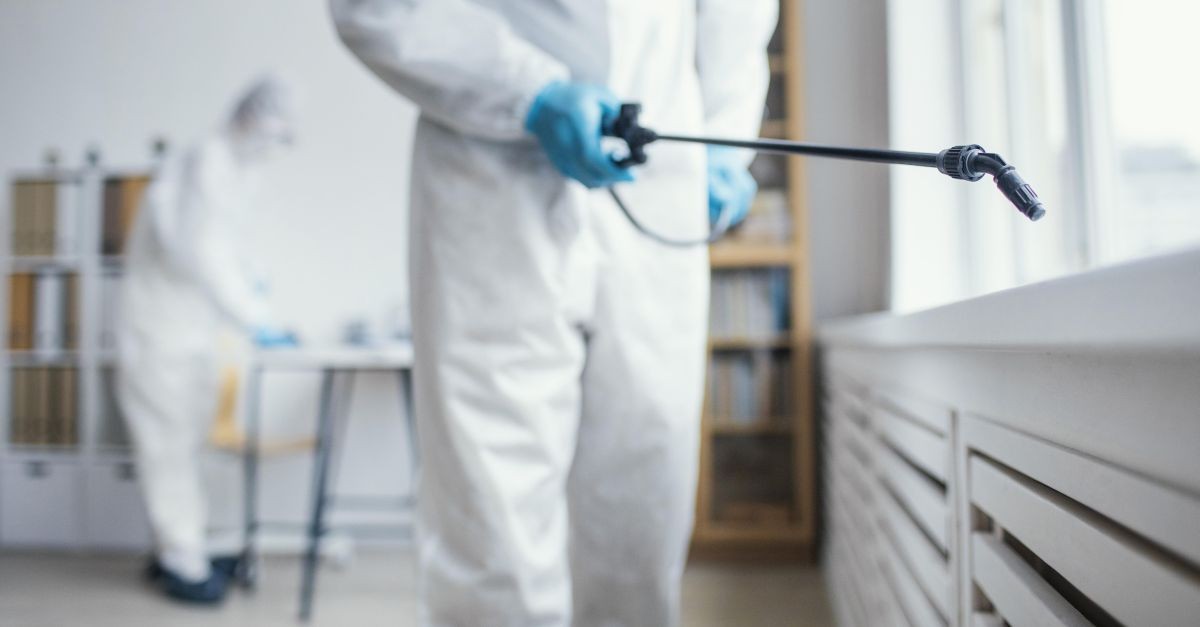 Disinfestatori in azione Disinfestatori in azione