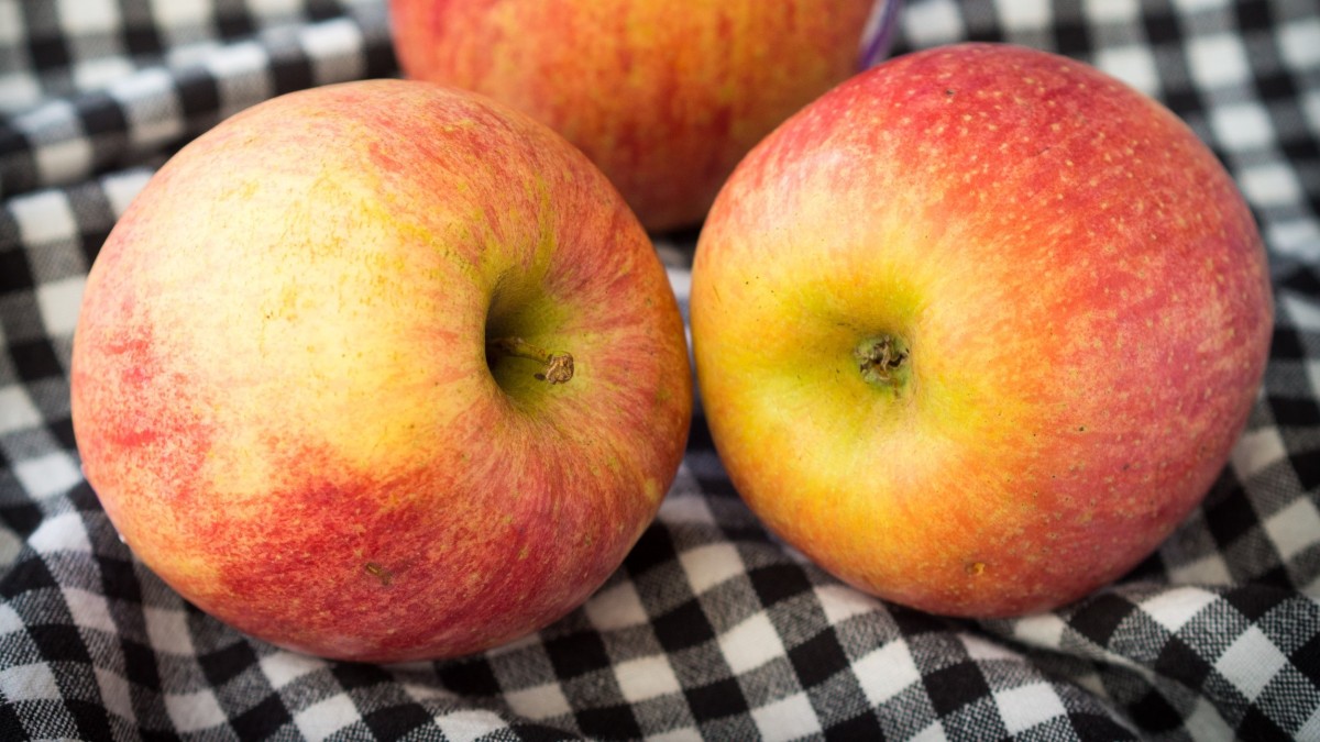 mele molto diffuse in italia