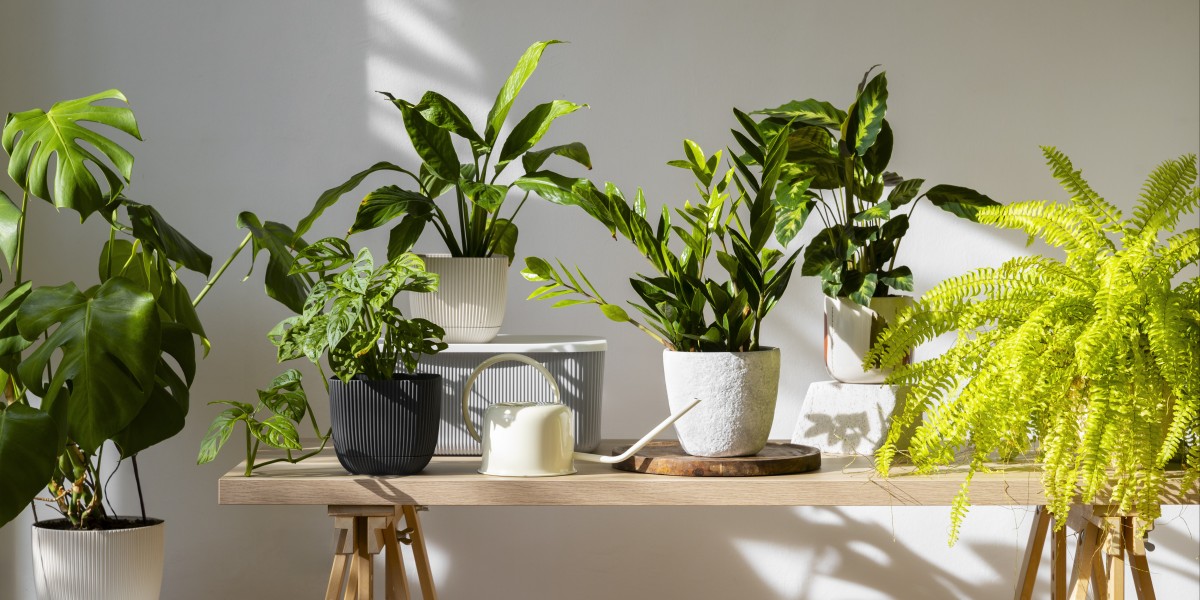 come rendere casa più luminosa