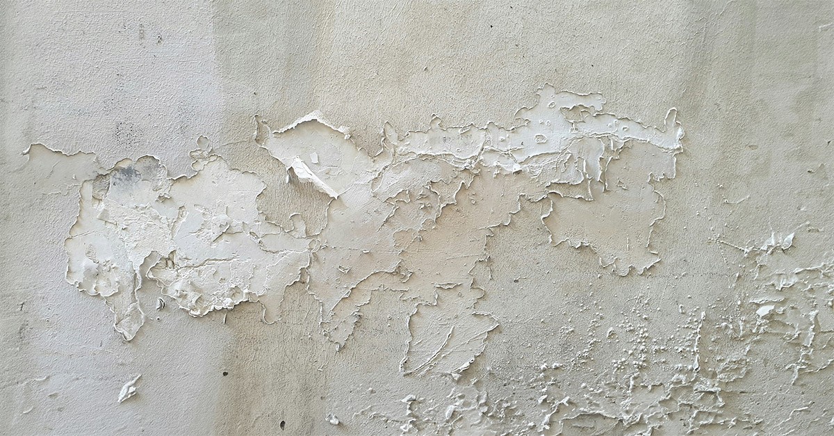 Infiltrazioni d'acqua sul muro condominiale Infiltrazioni d'acqua sul muro condominiale