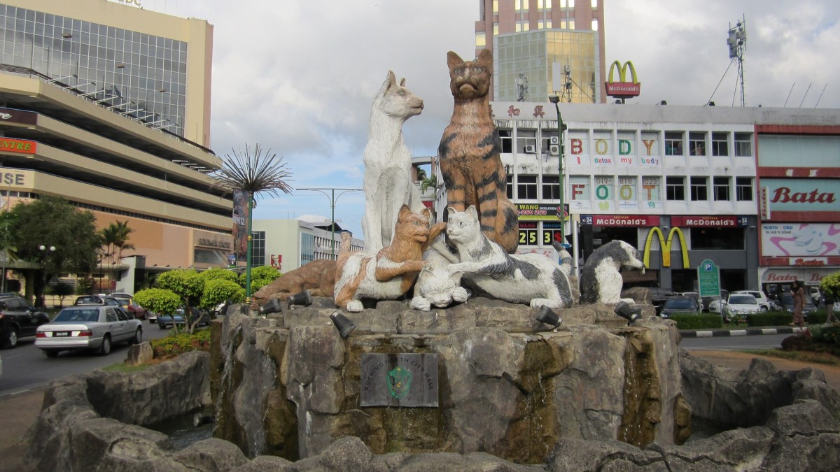 kuching città dei gatti