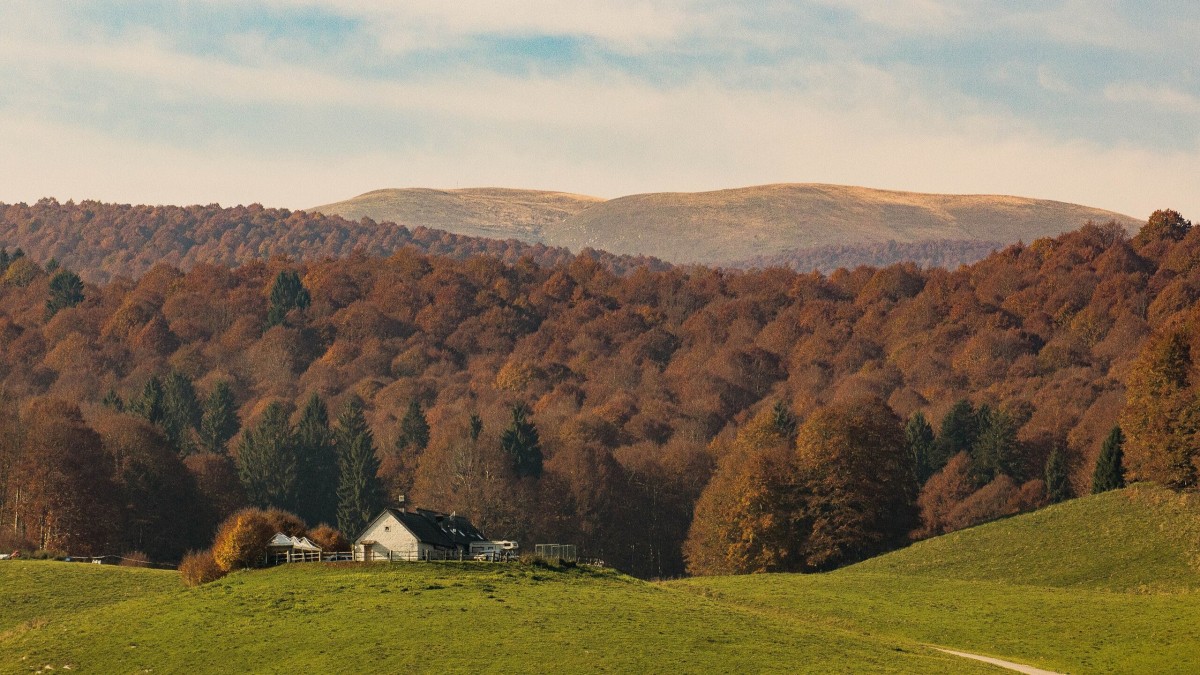 foresta del cansiglio