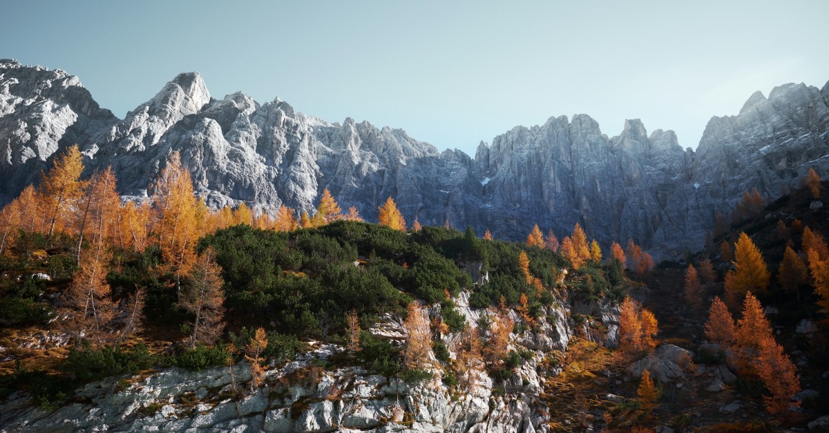 Forests in Italy