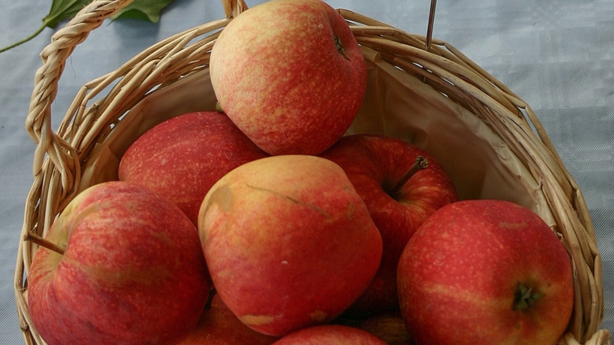 mele molto diffuse in italia