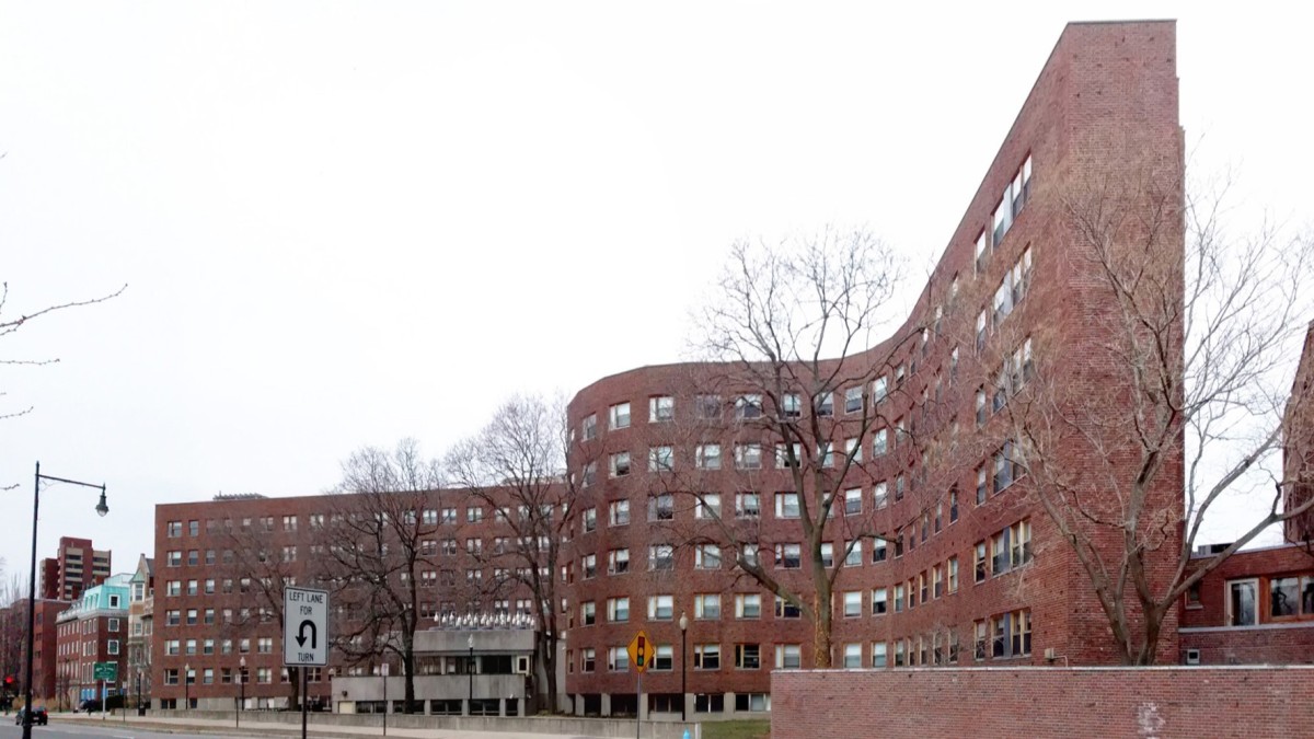 muri crinkle crankle