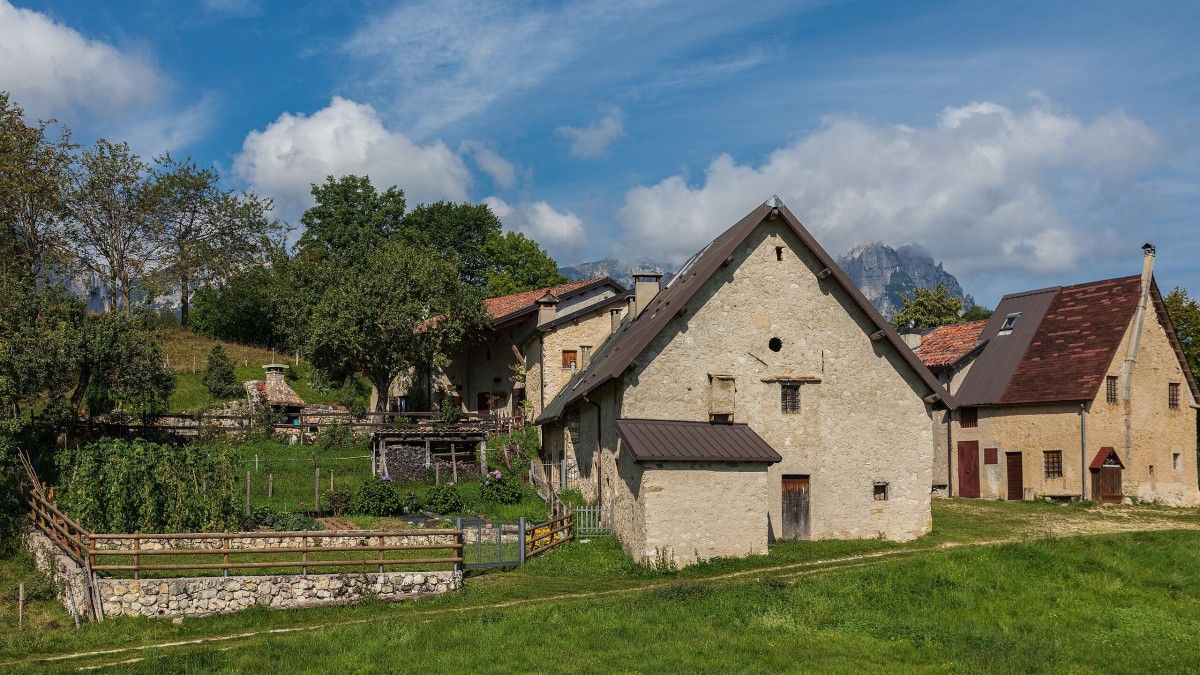 sentiero dei grandi alberi