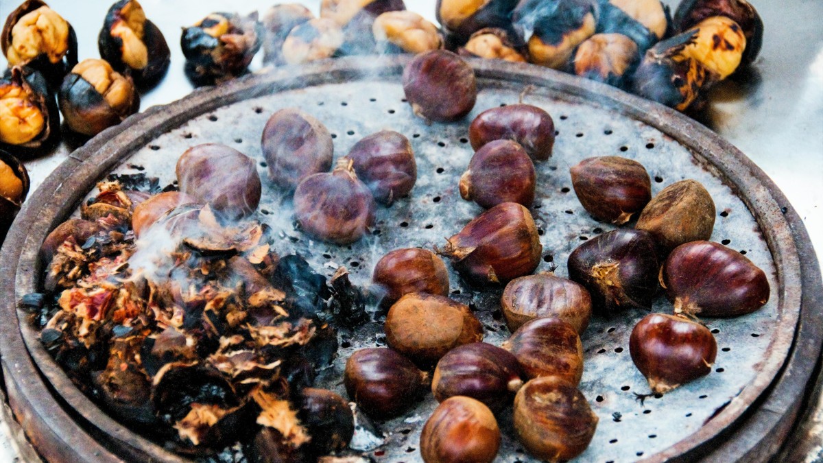 cosa fare a napoli a novembre 2024