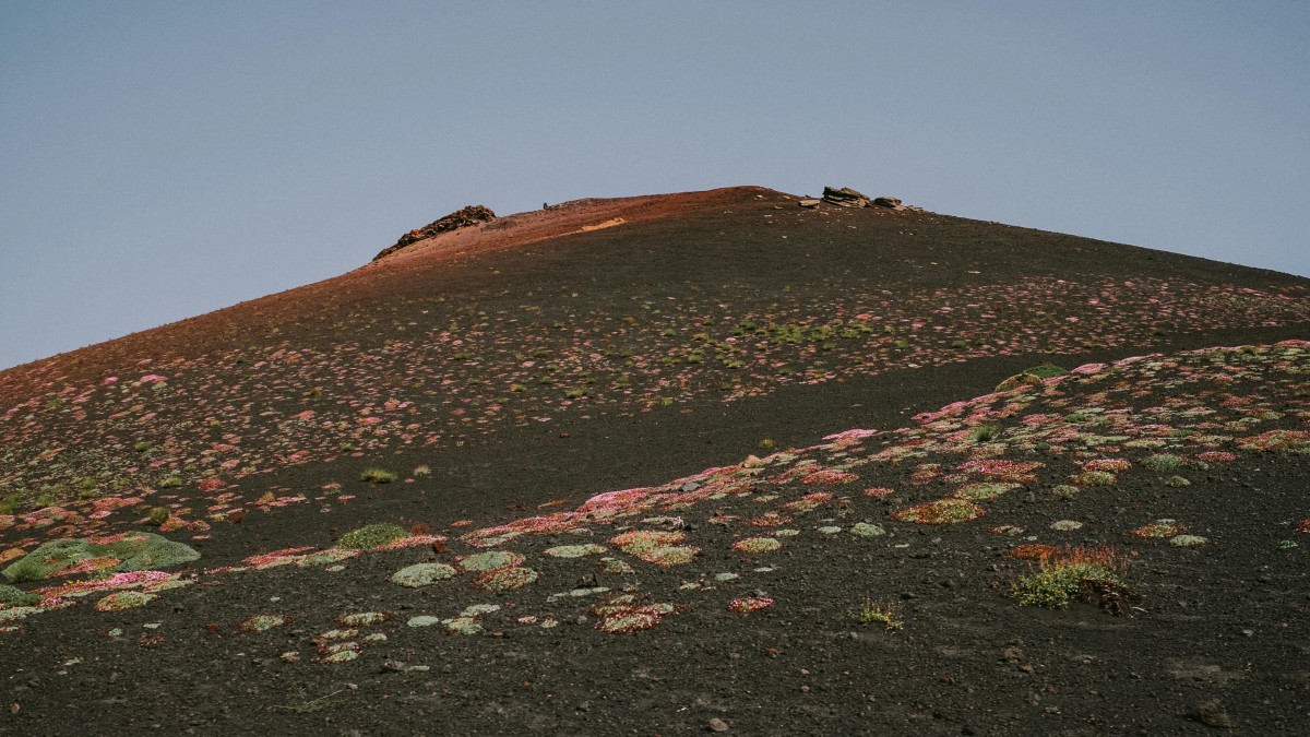 monte nero degli zappini