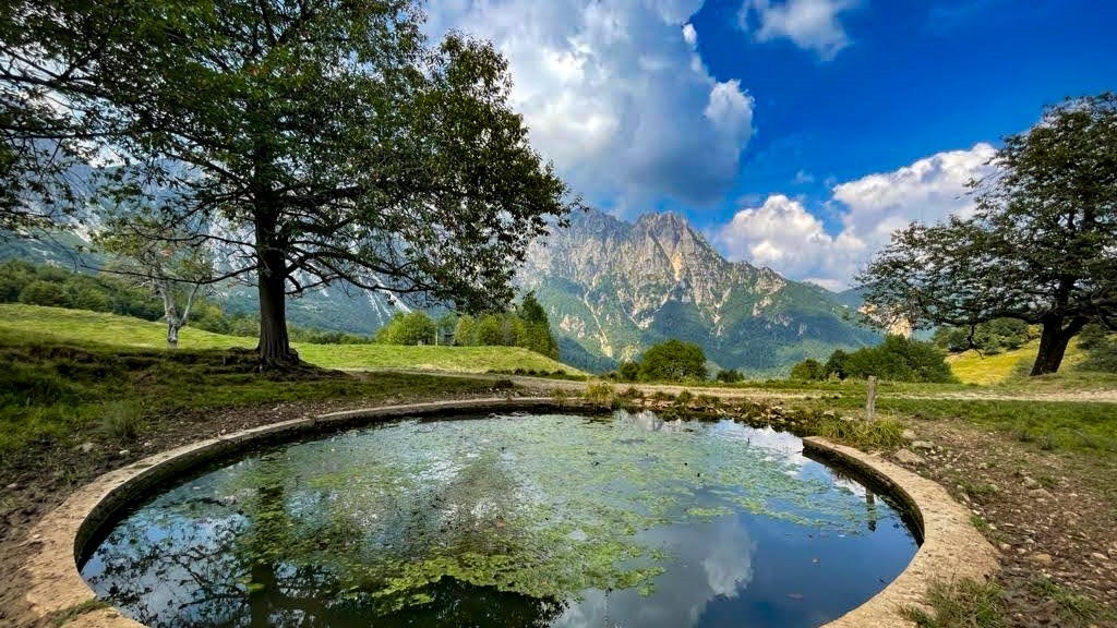 sentiero dei grandi alberi