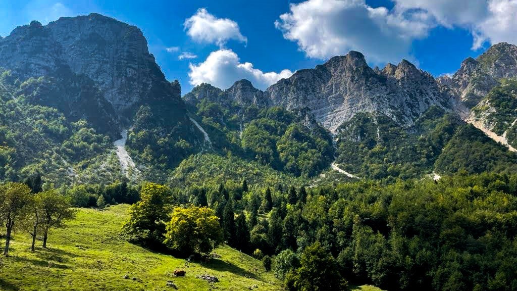 sentiero dei grandi alberi