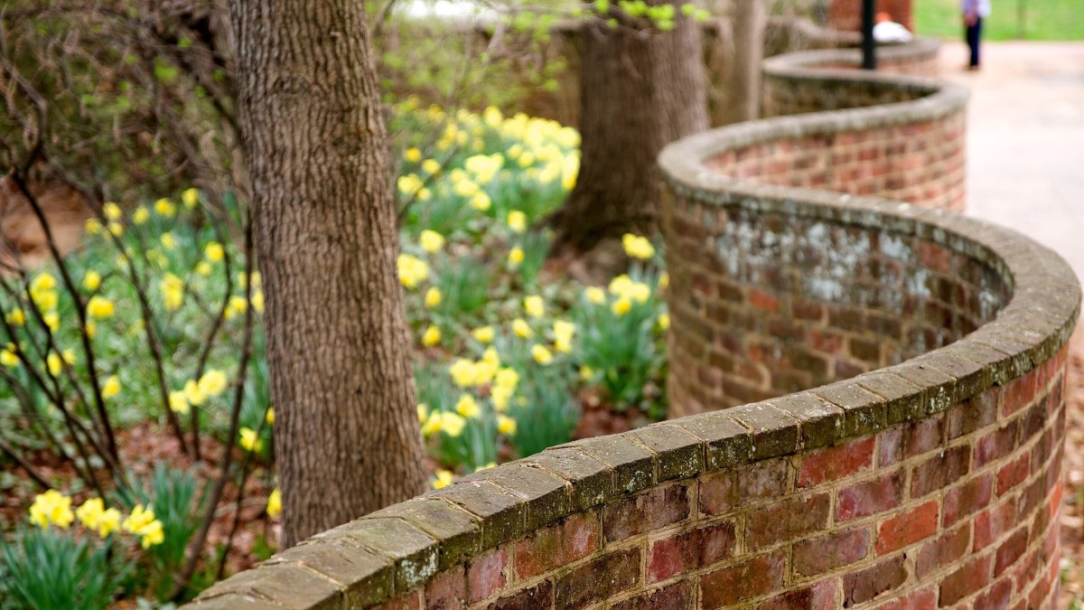 muri crinkle crankle