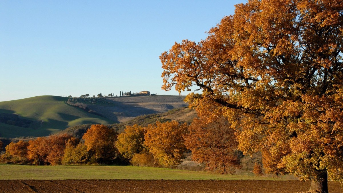 cosa fare a bologna a ottobre 2024