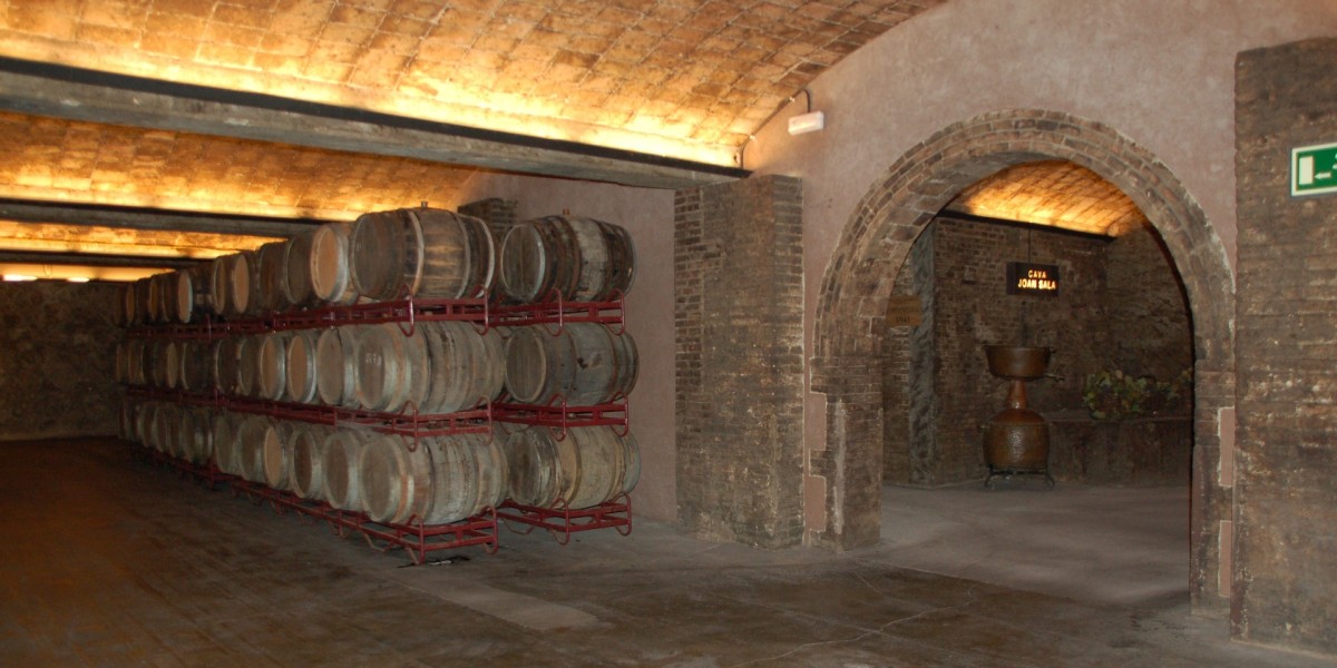 cantina vini