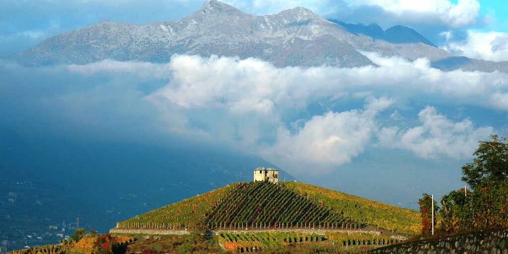 cantine vini design in Italia