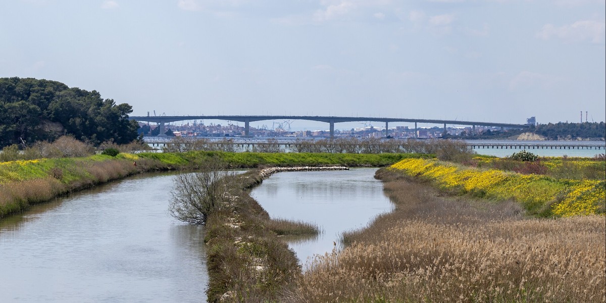 Ponte Punta Penna Pizzone