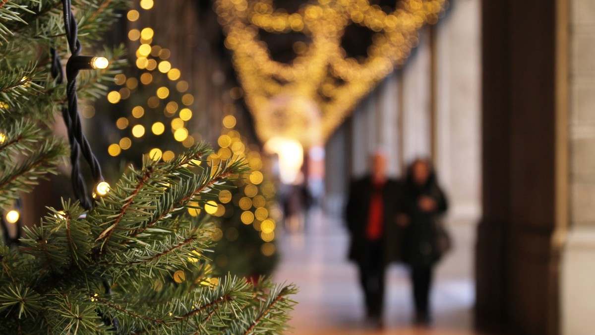 cosa vedere a bologna a dicembre 2024