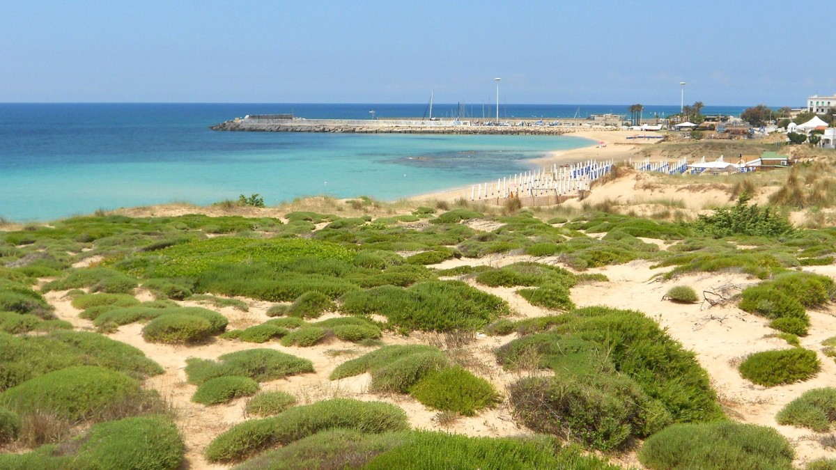 dove è stata girata questa non è hollywood