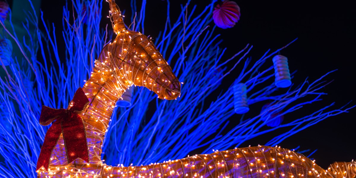 Le più belle luci di Natale in Italia