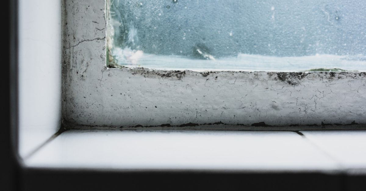 finestra con muffa da condensa