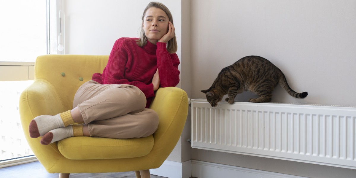 pulizia interna termosifoni