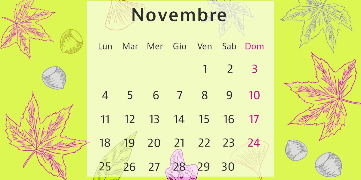 Calendario novembre 2024